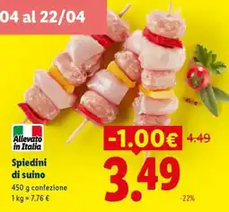 Lidl Spiedini Di Suino offerta