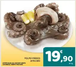 Conad Polpo Fresco Arricciato offerta