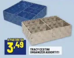 Risparmio Casa Tracy cestini organizer offerta