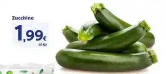 Sigma Zucchine offerta