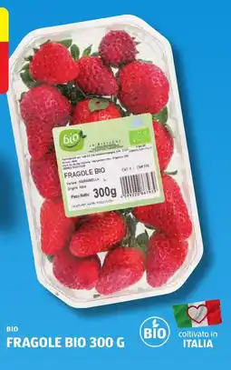 ALDI Bio fragole offerta