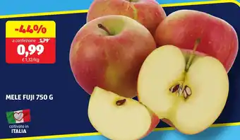 ALDI Mele FUJI offerta