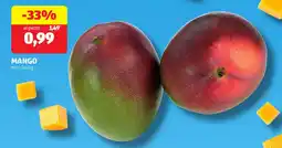ALDI Mango offerta