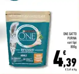 Conad Superstore One gatto PURINA offerta