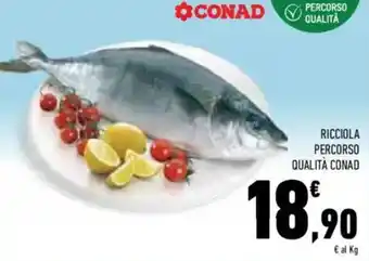 Conad Superstore Ricciola percorso qualità CONAD offerta