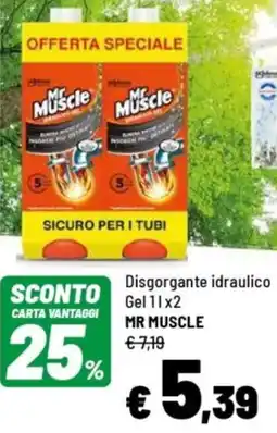 Iper La Grande Disgorgante idraulico Gel MR MUSCLE offerta
