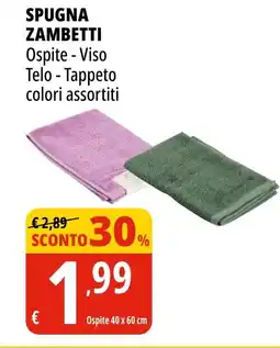 Tigros Spugna zambetti offerta