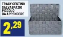Risparmio Casa Tracy cestino salvaspazio piccolo da appendere offerta