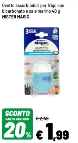 Iper La Grande Ovetto assorbiodori per frigo con bicarbonato e sale marino MISTER MAGIC offerta