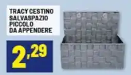 Risparmio Casa Tracy cestino salvaspazio piccolo da appendere offerta