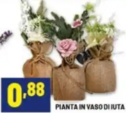 Risparmio Casa Pianta in vaso di iuta offerta