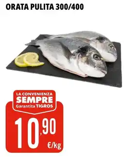 Tigros Orata pulita 300/400 offerta
