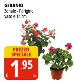 Tigros Geranio offerta