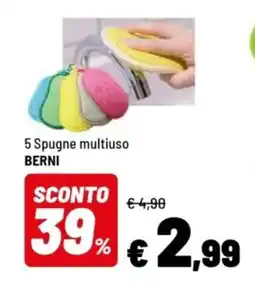 Iper La Grande 5 Spugne multiuso BERNI offerta