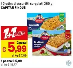 Iper La Grande I Gratinati assortiti surgelati CAPITAN FINDUS offerta