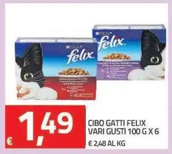 TuoDi Felix Cibo Gatti vari gusti 100g x 6 offerta