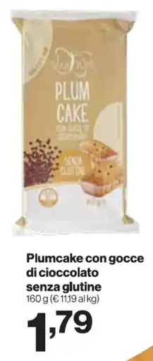 In'S Mercato Vita Well Plumcake con gocce di cioccolato senza glutine offerta