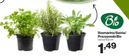 In'S Mercato Rosmarino/Salvia/ Prezzemolo Bio offerta