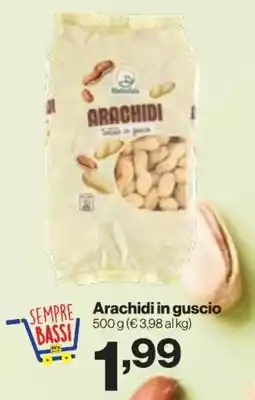 In'S Mercato MadreSole Arachidi in guscio offerta