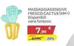 Bimbo Store Massaggiagengive fresco cactus (4m+) offerta