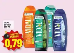 Risparmio Casa Vidal doccia offerta