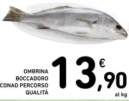 Spazio Conad Ombrina boccadoro CONAD PERCORSO QUALITÀ offerta