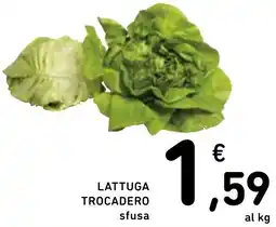 Spazio Conad Lattuga trocadero offerta