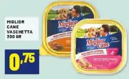 Risparmio Casa Miglior cane vaschetta offerta