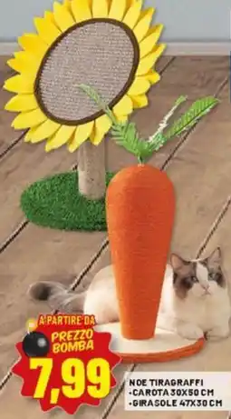 Risparmio Casa Noe tiragraffi carota, girasole offerta