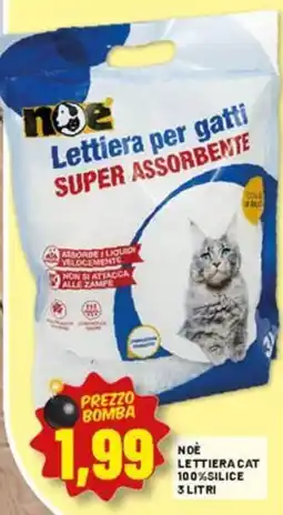 Risparmio Casa Noè lettiera cat 100% silice offerta