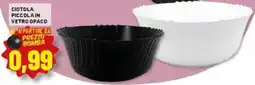 Risparmio Casa Ciotola piccolain vetro opaco offerta