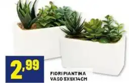 Risparmio Casa Fiori piantina vaso offerta