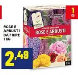 Risparmio Casa Rose e arbusti da fiore offerta