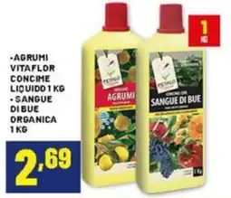 Risparmio Casa Agrumi vitaflor concime liquido offerta