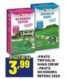 Risparmio Casa Prato trifoglio nano, prato dichondra repens offerta