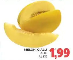 Eté Meloni gialli offerta