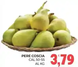 Eté Pere coscia offerta