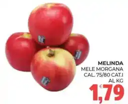 Eté Melinda mele morgana offerta