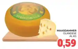 Eté Maasdammer olandese offerta