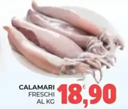 Eté Calamari freschi offerta