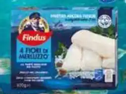 Coop Master Alleanza 3.0 Fiori di merluzzo CAPITAN FINDUS offerta