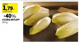 Coop CICORIA WITLOFF offerta