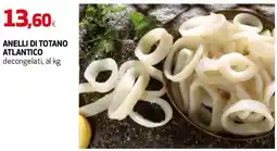 Coop Master Alleanza 3.0 Anelli di totano atlantico offerta