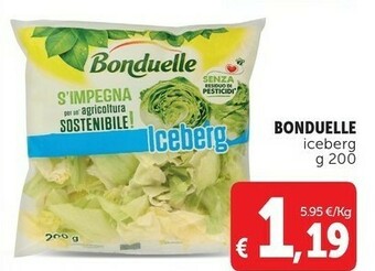 Iceberg