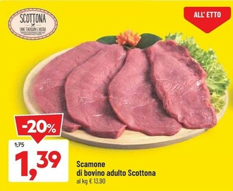 DPiù Carne offerta