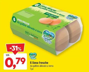 DPiù Uova offerta