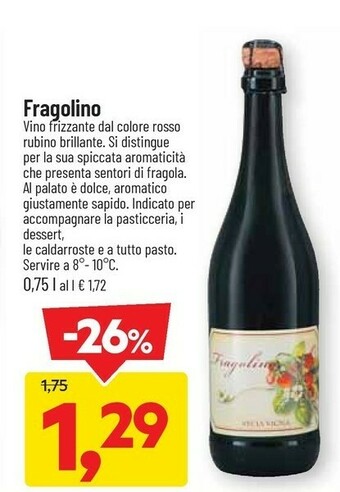 DPiù Vino offerta