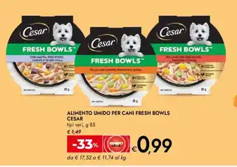 Bennet Alimento umido per cani fresh bowls CESAR offerta