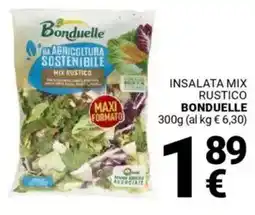 Supermercati Gulliver Insalata mix rustico BONDUELLE offerta