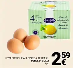 Supermercati Gulliver Uova fresche allevate a terra XL PERLE DI GULLI offerta